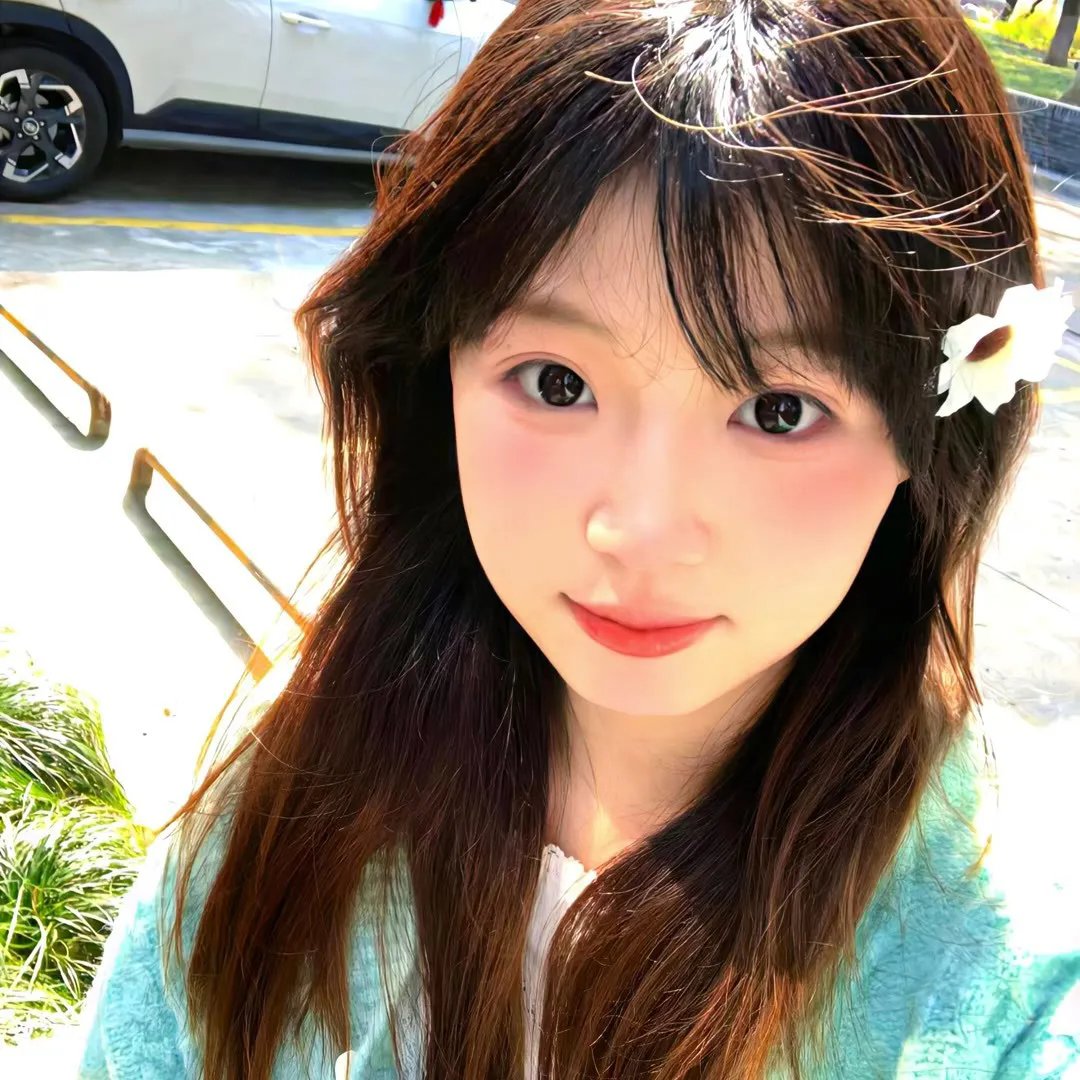 树篱女巫